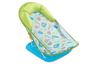 Picture of Deluxe Baby Bather 3 position backrest recline Small Blue Green