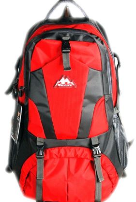 Picture of Men Travel Bags Waterproof Resin Mesh System Outdoor Camping Travel Hiking Backpacks Bag Red