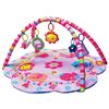 Picture of The Pinky House 3 Way to  Play Baby Gym