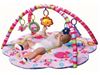 Picture of The Pinky House 3 Way to  Play Baby Gym