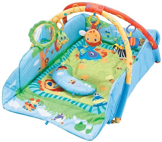 Picture of Fitch Baby Developmental mat Gym  Blue