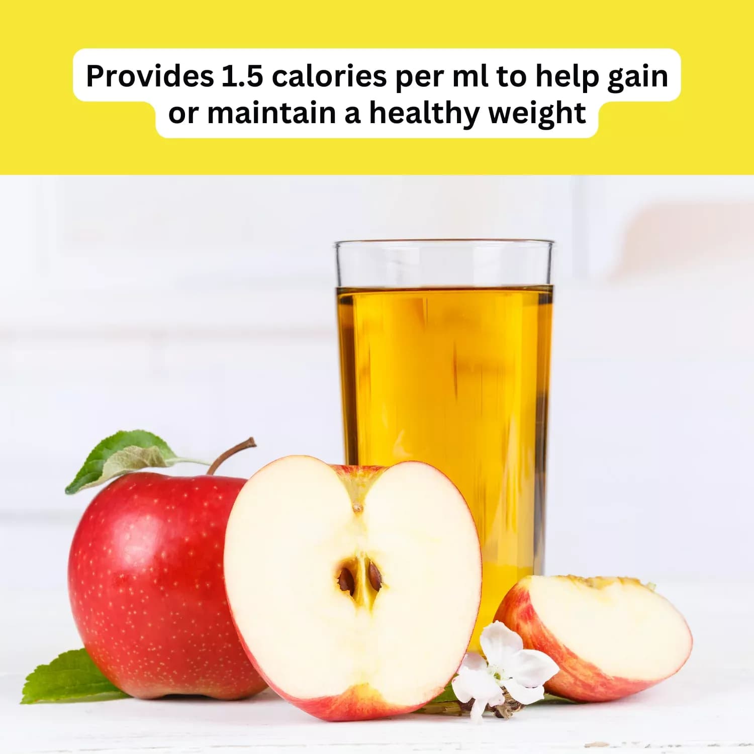 Ensure Plus Juce Apple Flavour 220ml x 12 Pack