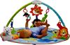 Picture of Smart Baby Delux Musical Activity Gym