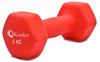 Picture of Neoprene Hand Dumbbells Weights (Pair) Fitness Home Gym Exercise Barbell 5kgs Home Gym Fitness Exercise workout training
