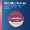 Picture of Vaseline Lip Therapy Rosy Lips with Rose and Almond Oil 20g