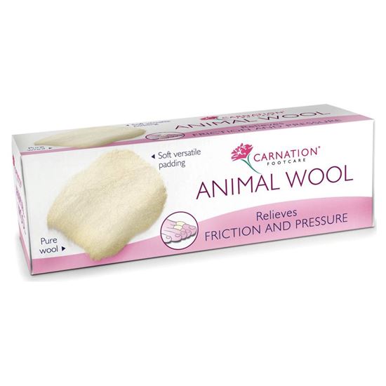 Picture of Carnation Animal Wool 25g