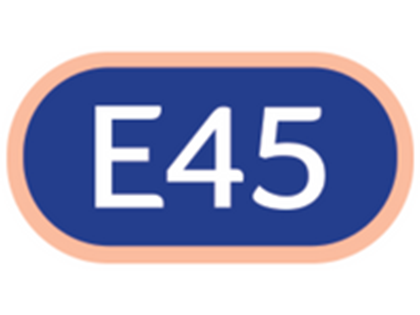 Picture for manufacturer E45