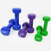 Picture of Kemket Vinyl Fitbell Kit in a Case - 10 kg Dumbbell Weights Set