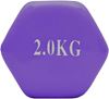 Picture of Kemket Vinyl Coated Dumbbells (Set of 2) - 2kg Home Gym Fitness Exercise Biceps Weight Training 2Kg