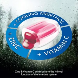 Vicks Triple Action Sugar Free Lozenges Blackcurrant 42gm - Image 2