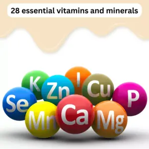 Ensure Compact Vanilla Nutritional Drink 12 x 125ml - Image 6