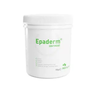Epaderm Ointment 1kg