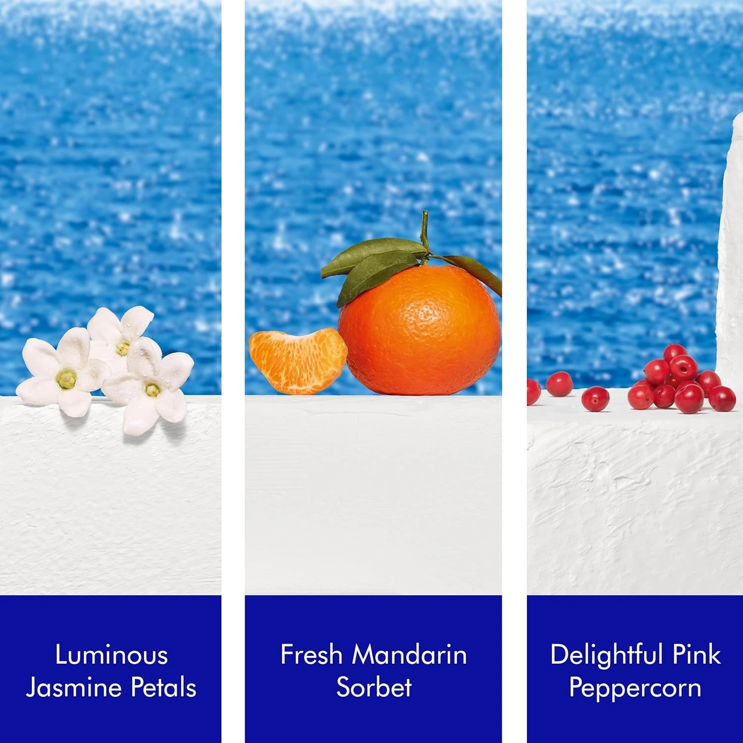 Untitled design 2025 11 06t104652.022